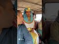 الفرعون ركب الميكروباص أنا مش متعود على الزحمة دي من أيام خوفو 