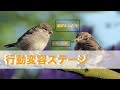 行動変容ステージを利用して悩み解決【患者教育】