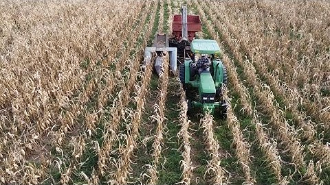 The Best Corn Picking Video I Ever Made!