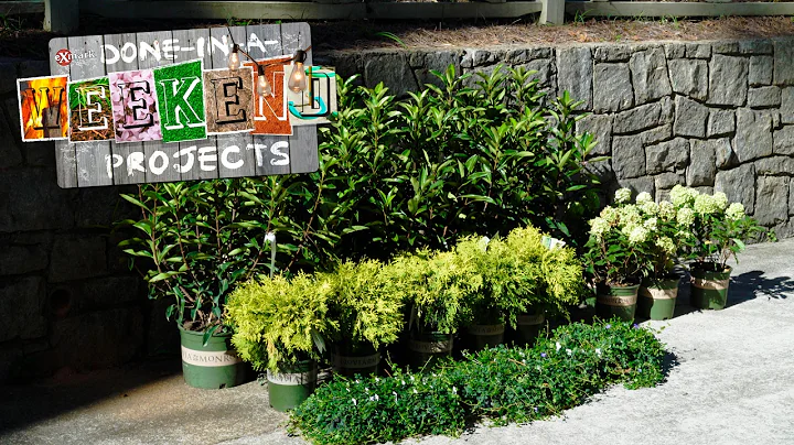 Choosing Landscaping Plants That Speak to You And Your Yard | Done-In-A-Weekend Projects: Layer Up - DayDayNews