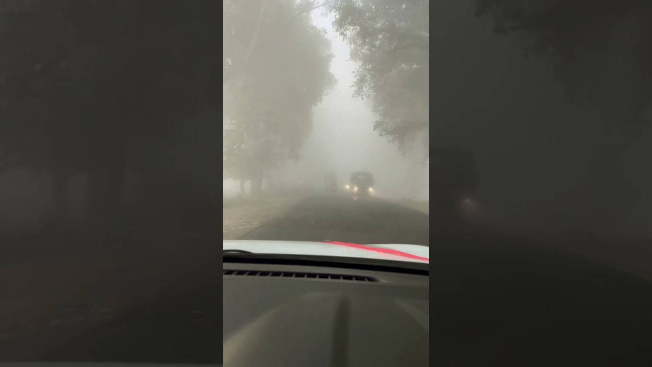 Dense fog driving 
