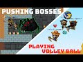 Pushing Bosses, Playing Volley Ball and Fights | Evoworld.io