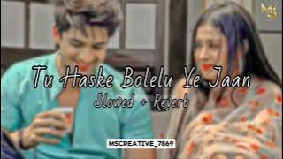 TU HASKE BOLELU YE JAAN SONG [ SLOWED REVERB ] तू हसके बोलेलू ये जान | LOFI | @mscreative7869