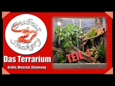 Video: 3 Möglichkeiten, ein Kornnatter-Vivarium zu erstellen