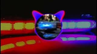 🛑DJ Matt - Police (Promo - Video)🛑