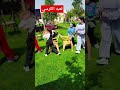 لعبة الكرسي Happy Village هابي فيلاج سطات 