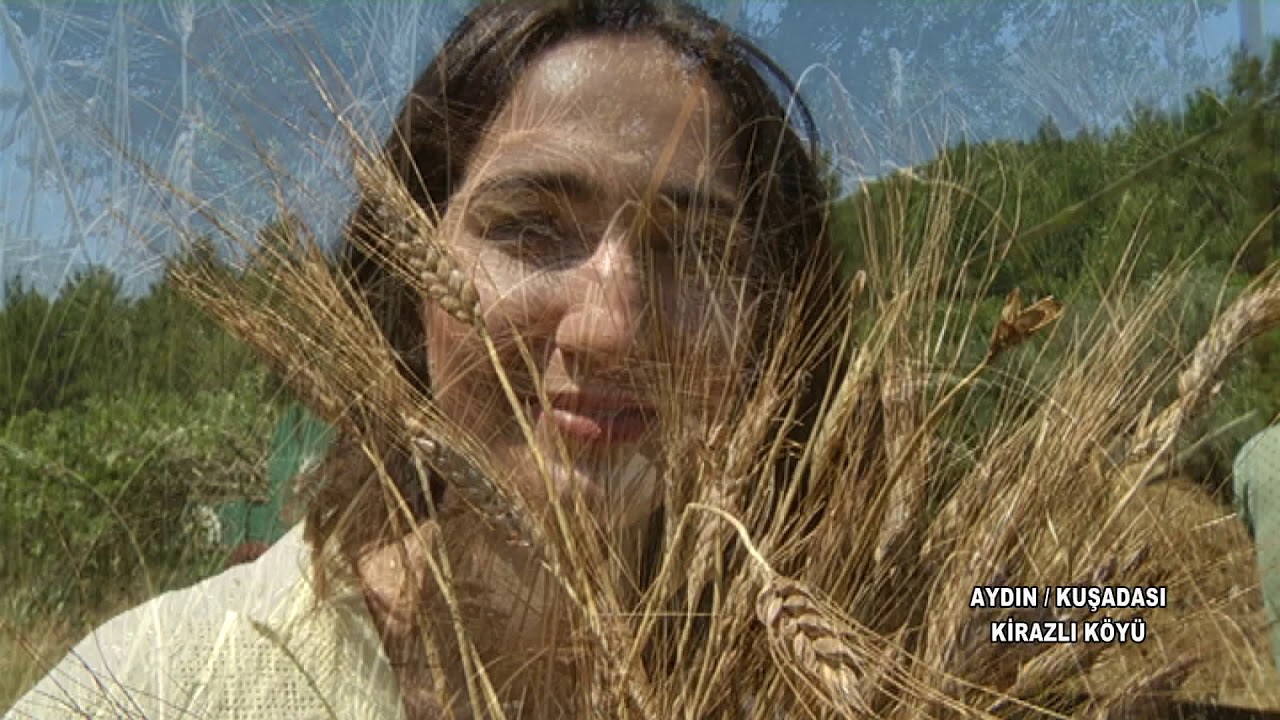 45. Bölüm Aydın/Kuşadası-Kirazlı 1