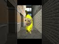 Thief banana cat and banana cat?/泥棒バナナ猫とバナナ猫？#shorts #gmod #bananacat