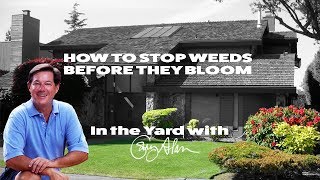 How to stop Weeds before they bloom - In the Yard with Gary Alan by Designers Landscape 6,130 views 6 years ago 2 minutes, 49 seconds