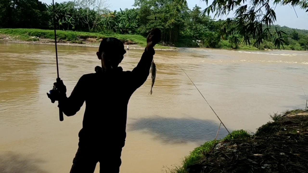 Tak di ragukan lagi pakai umpan super gacor dapat ikan babon bro!