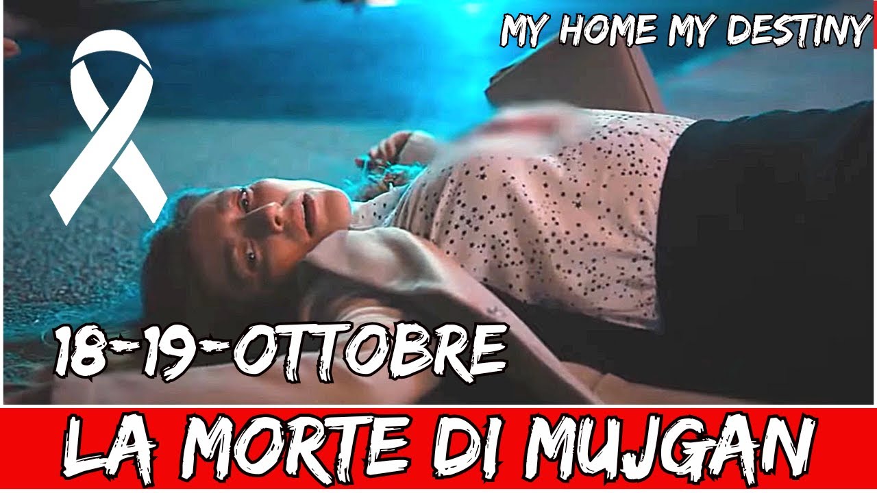 MY HOME MY DESTINY 18 E 19 OTTOBRE Mujgan uccisa improvvisamente da Buran Mehdy sconvolto MY HOME MY DESTINY 18 E 19 OTTOBRE Mujgan uccisa improvvisamente da Buran Mehdy sconvolto