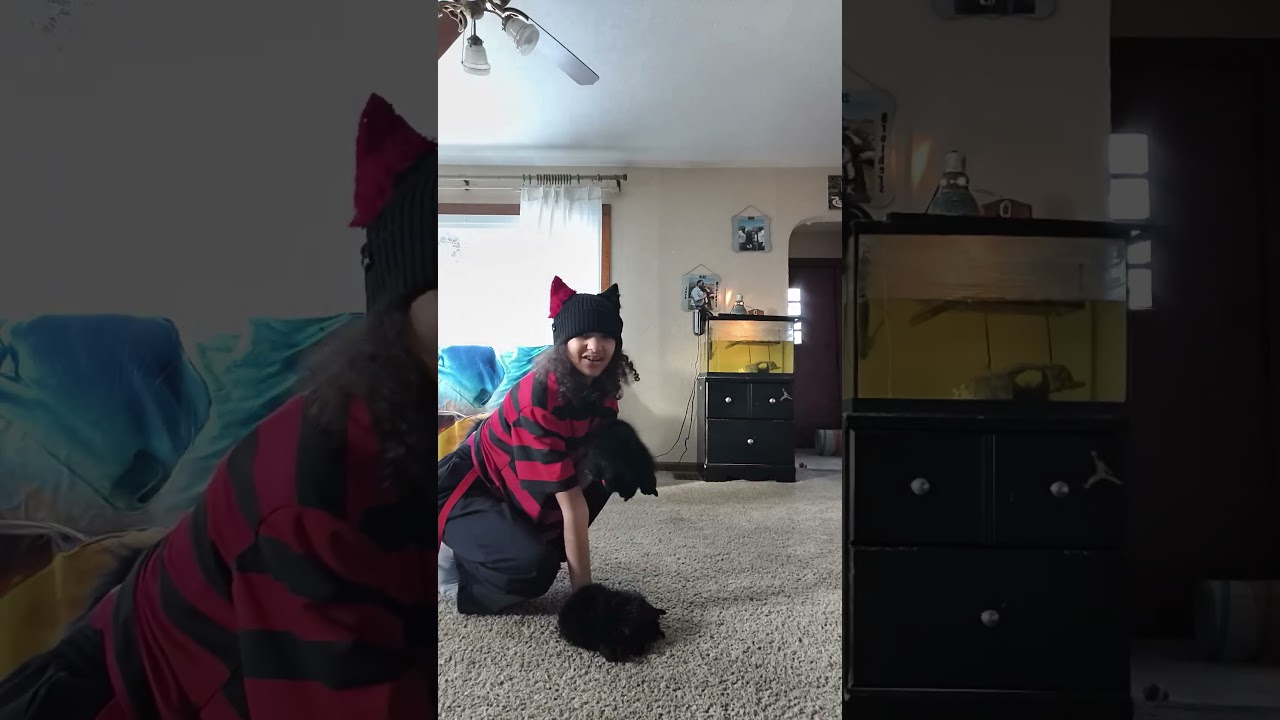 "And that's called jazz!"  a loop?! 