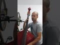 Loving every minute -Lighthouse Family (double bass cover)