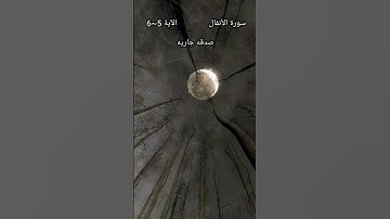 سورة الأنفال الآية 5~6