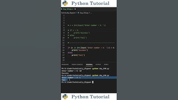 Python’s Walrus Operator Explained | Python Tutorial