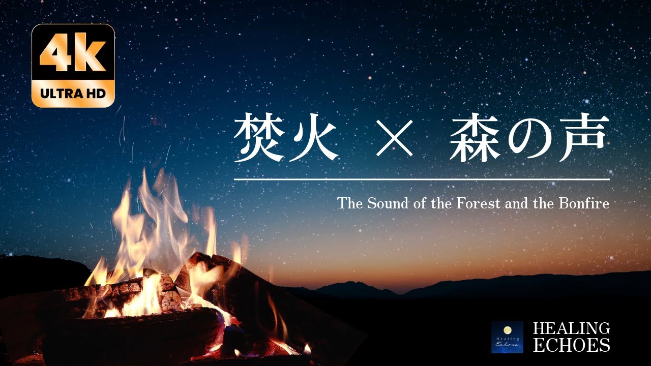 【睡眠用ASMR】焚き火の音と森の環境音で快眠・熟睡・リラックス 🌙🔥