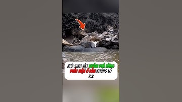 [P.2] Nhà sinh vật phát hiện ổ Rắn trong rừng #shorts