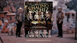Los Buitres De Culiacan Sinaloa - Las Nieves de Enero En Vivo ( Cover Audio)