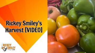 Rickey Smileys Harvest