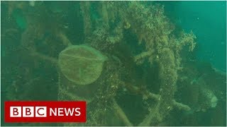 Mystery of a Victorian-era wreck in Arctic waters - BBC News