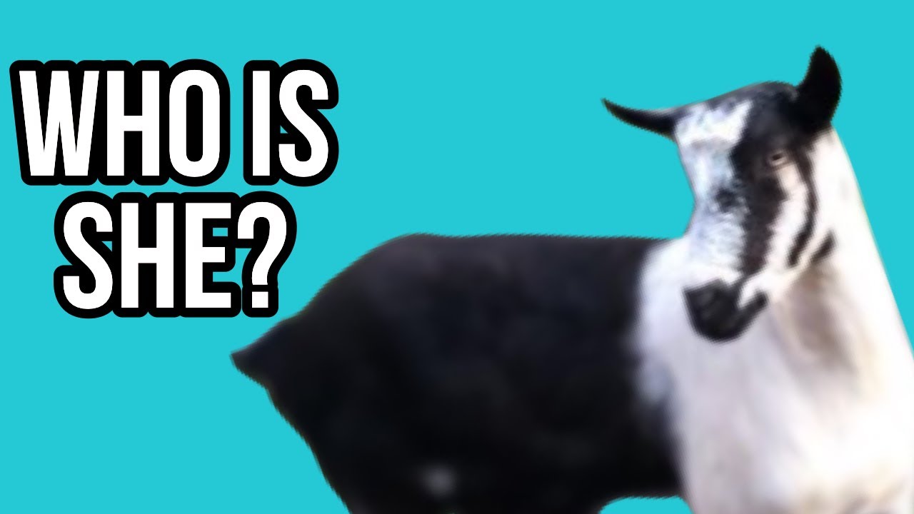 My Goat Finally Has a Name!