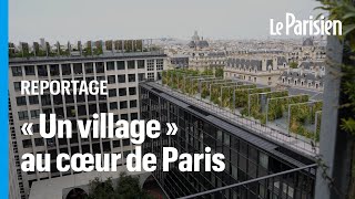 Hôtel 5 étoiles, HLM, bureaux, commerces... Ils cohabitent dans un même immeuble au cœur de Paris