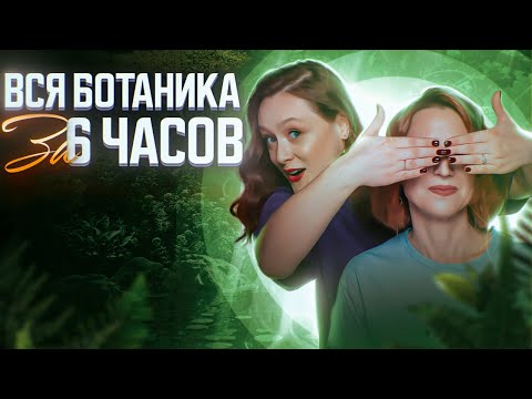 Видео: Зигомицеты и фикомицеты – это одно и то же?