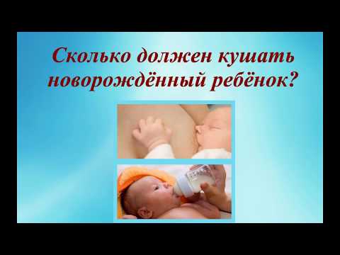 Сколько должен кушать новорожденный ребенок? How much should eat a newborn baby? © Шилова Наталия.