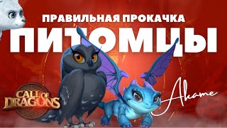 Правильная прокачка ПИТОМЦЕВ / Базовое видео [ Call of Dragons ]