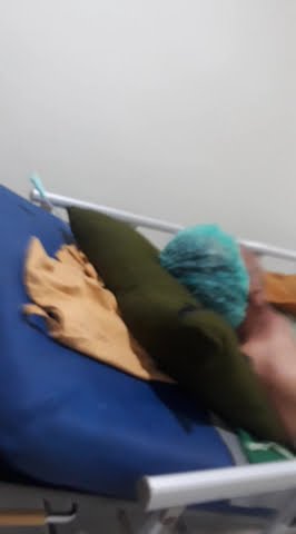 kodarulloh Papi sakit abses di perut bagian kanan(5)