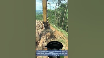 Grab Loader Loading Logs: Efficient Forestry Work