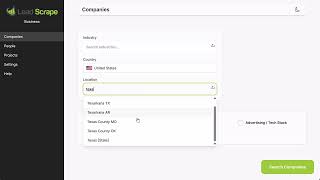 Lead Scrape -  Bulk searches