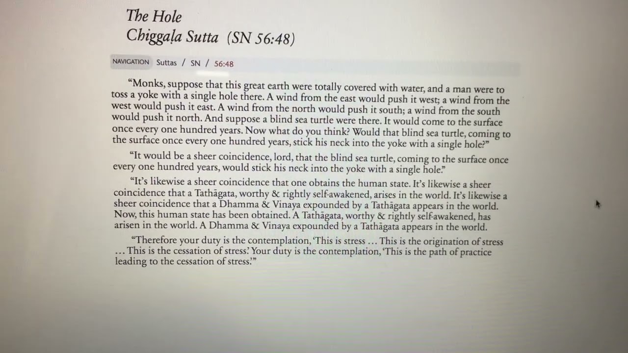 Chiggaḷa Sutta (The Hole) : SN 56.48 : English text reading from Dhammatalks.Org