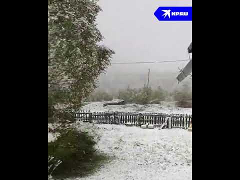 Кузбасс завалило снегом