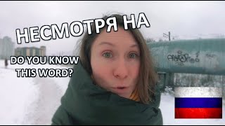 НЕСМОТРЯ НА.... - Useful RUSSIAN for Everyday!