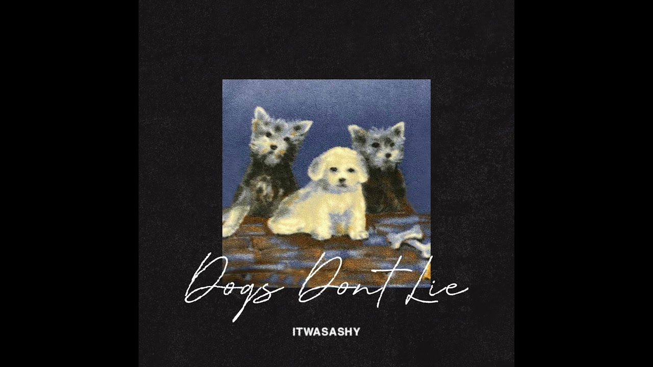 Watch "DOGS DON`T LIE" - SAMPLE PACK 2023 (Travis Scott, Utopia, Nami, Dez Wright, Cubeatz) on YouTube Watch "DOGS DON`T LIE" - SAMPLE PACK 2023 (Travis Scott, Utopia, Nami, Dez Wright, Cubeatz) on YouTube