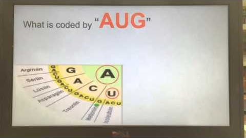 How to use a codon wheel