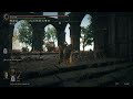 Me and Taylew taking down a Lion