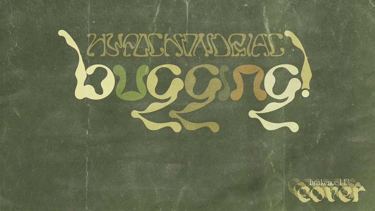 brakence bugging! (cover) YouTube