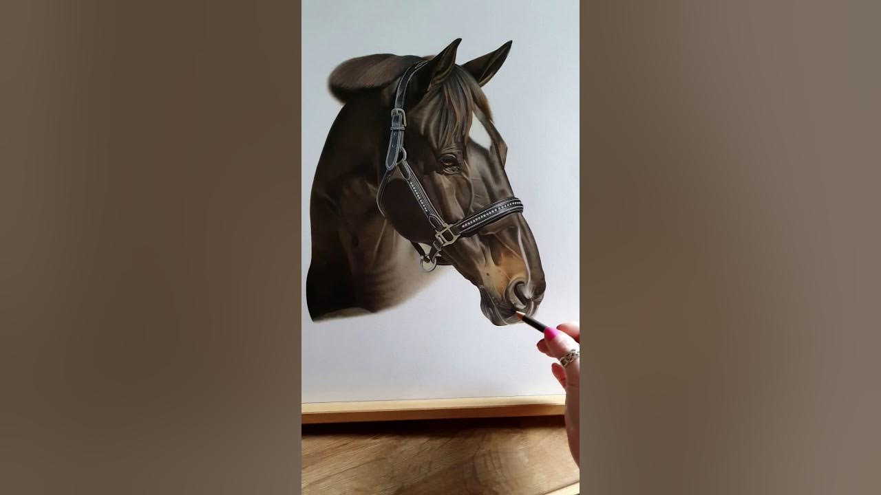 Horse portrait - colored pencils on black paper by Amayensis