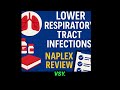 NAPLEX Review Lower Respiratory Tract Infections and Pneumonia Treatment Guide