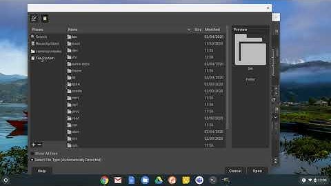 Accessing files in Gimp on your chromebook.