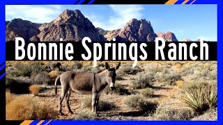 Bonnie Springs Ranch Spirit Of Nevada