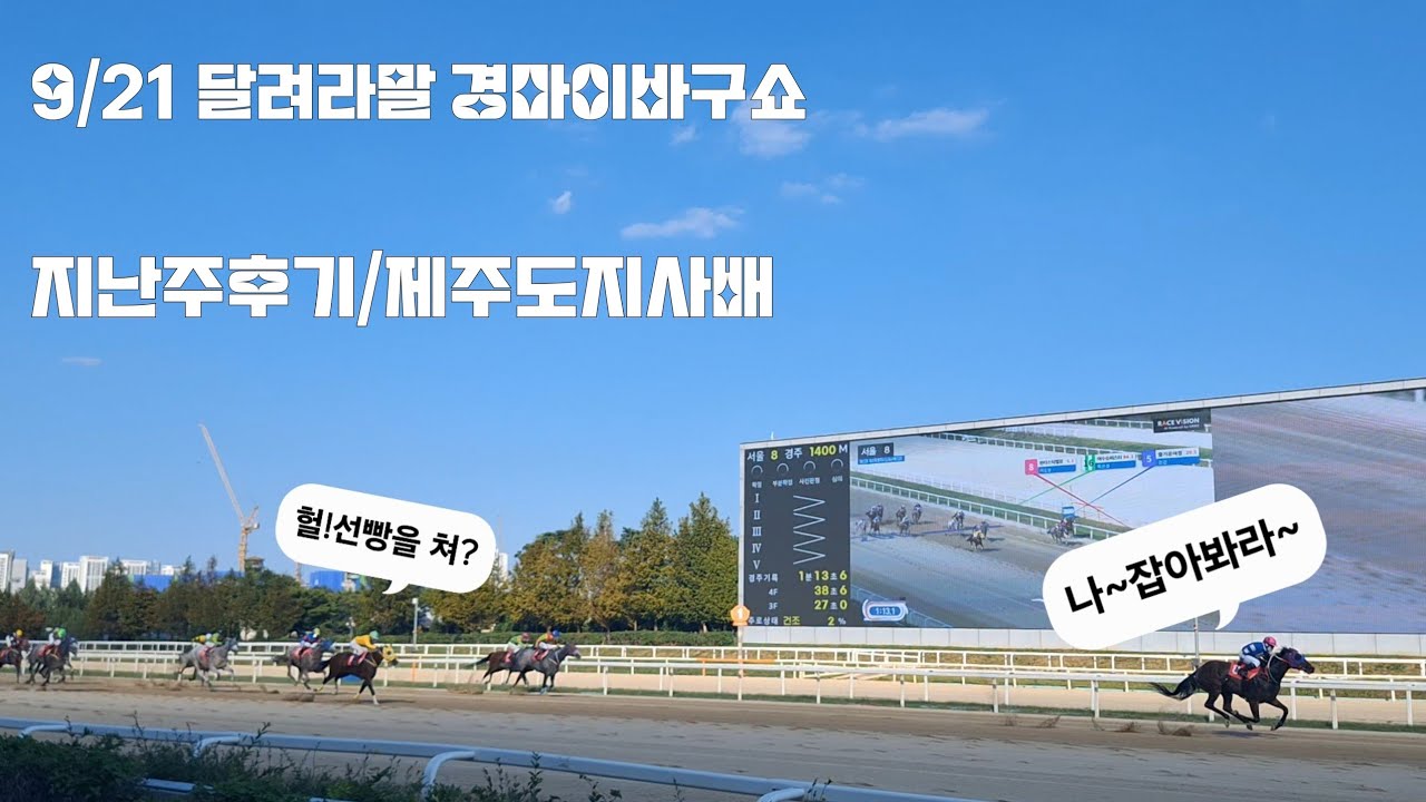 판타스틱밸류 선빵작전은 신의한수였다!(지난주후기/대상경주 경마 이바구쇼)