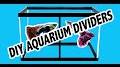 Video for هوشمل?q=https://aquacave.com/aquarium-dividers/