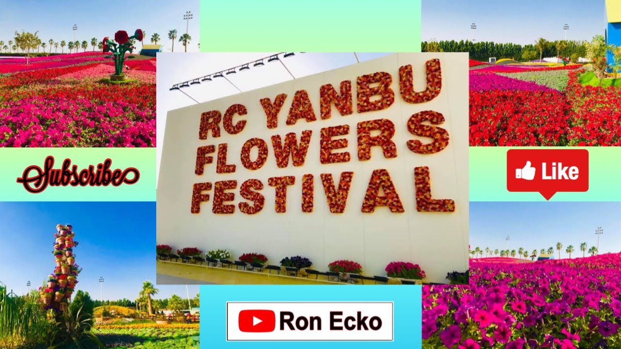 Flower Festival (Yanbu) YouTube