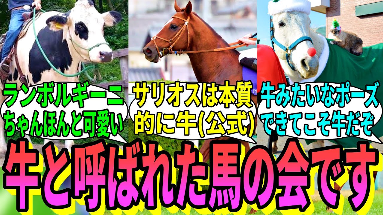 【競馬の反応集】「ここは牛と呼ばれた馬たちの会です」に対する視聴者の反応集」