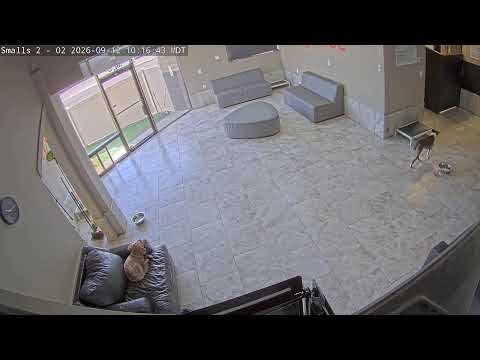 DogMode Small Dogs Indoor Lounge