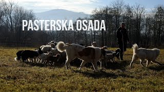 Pasterska Osada.