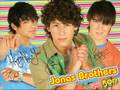 A Dark Stormy Night: A Jonas Brothers Fanfic Ch4 Part 1